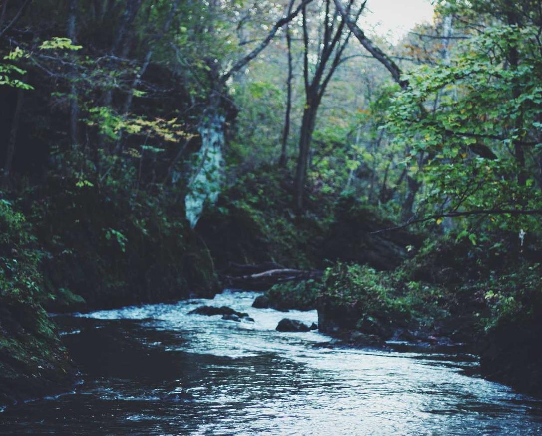 杏宇娱乐，注册|浩方账号注册电气工程师