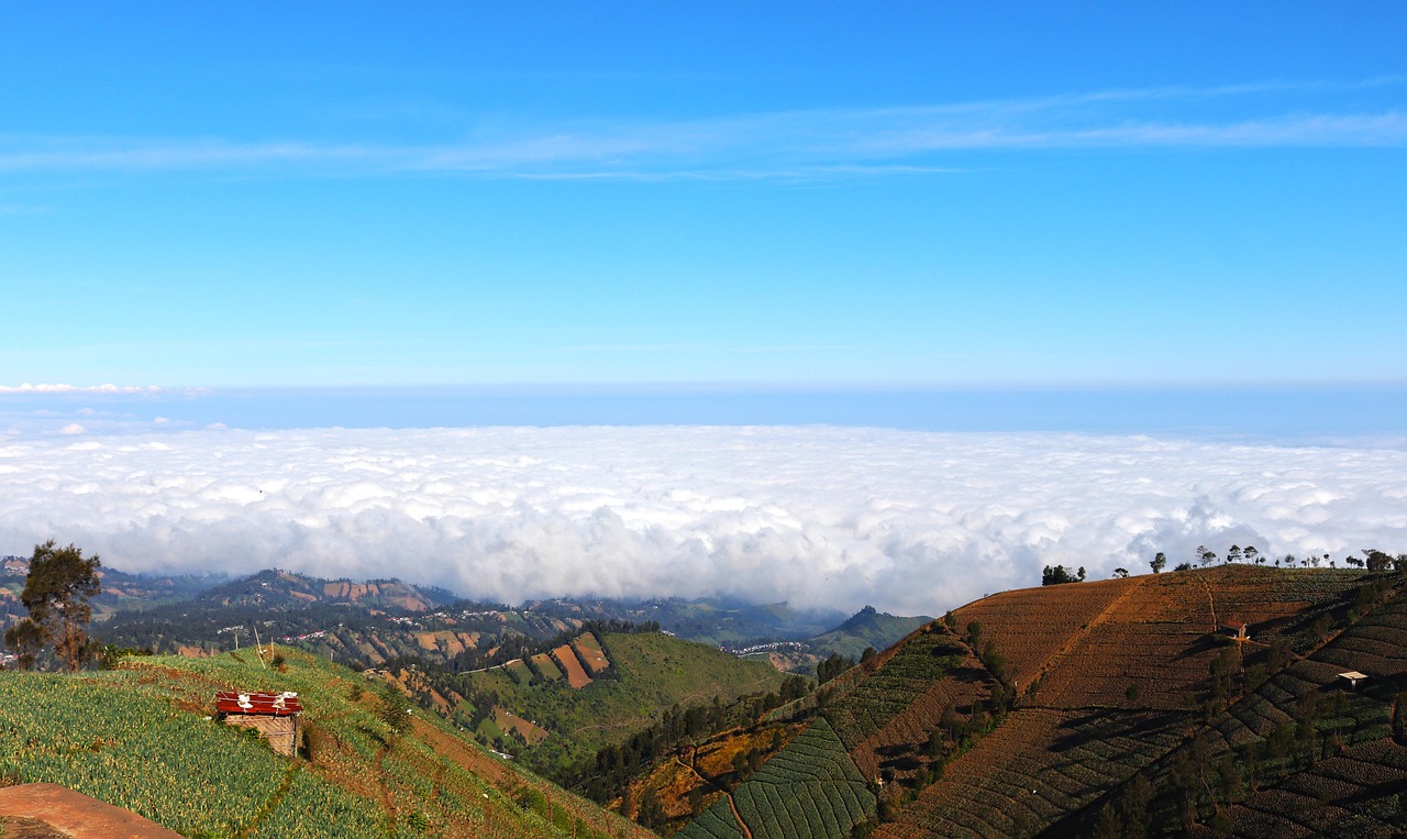 三五财富卡实名账号：彭州工商注册代理机构电话