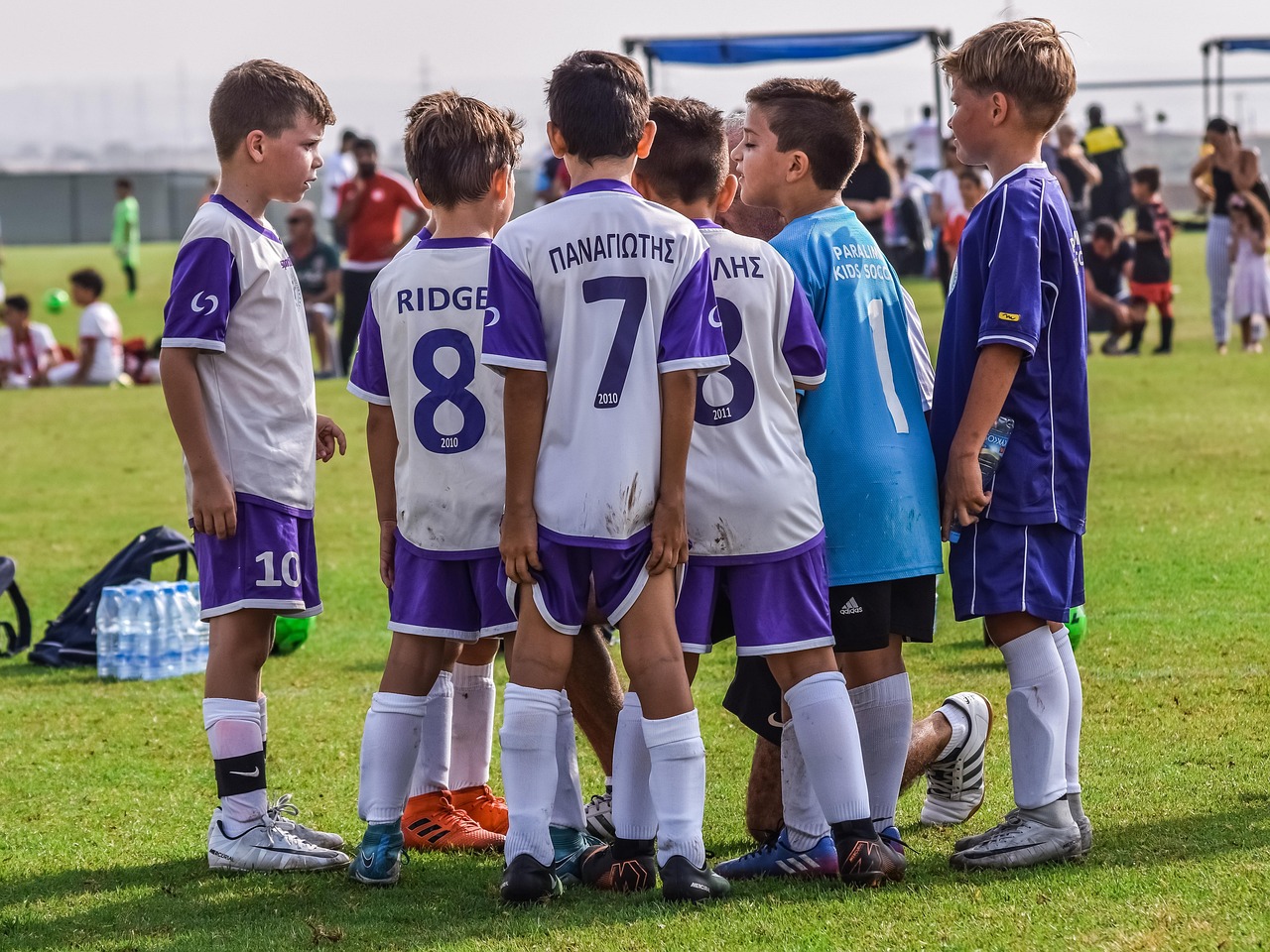 技术支持辅助是否有可逆的作用价值和意义？