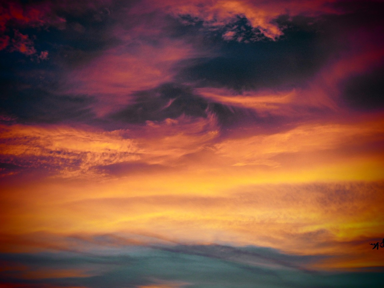 优酷移动实名账号：南方双彩网手机版app详情下载教程