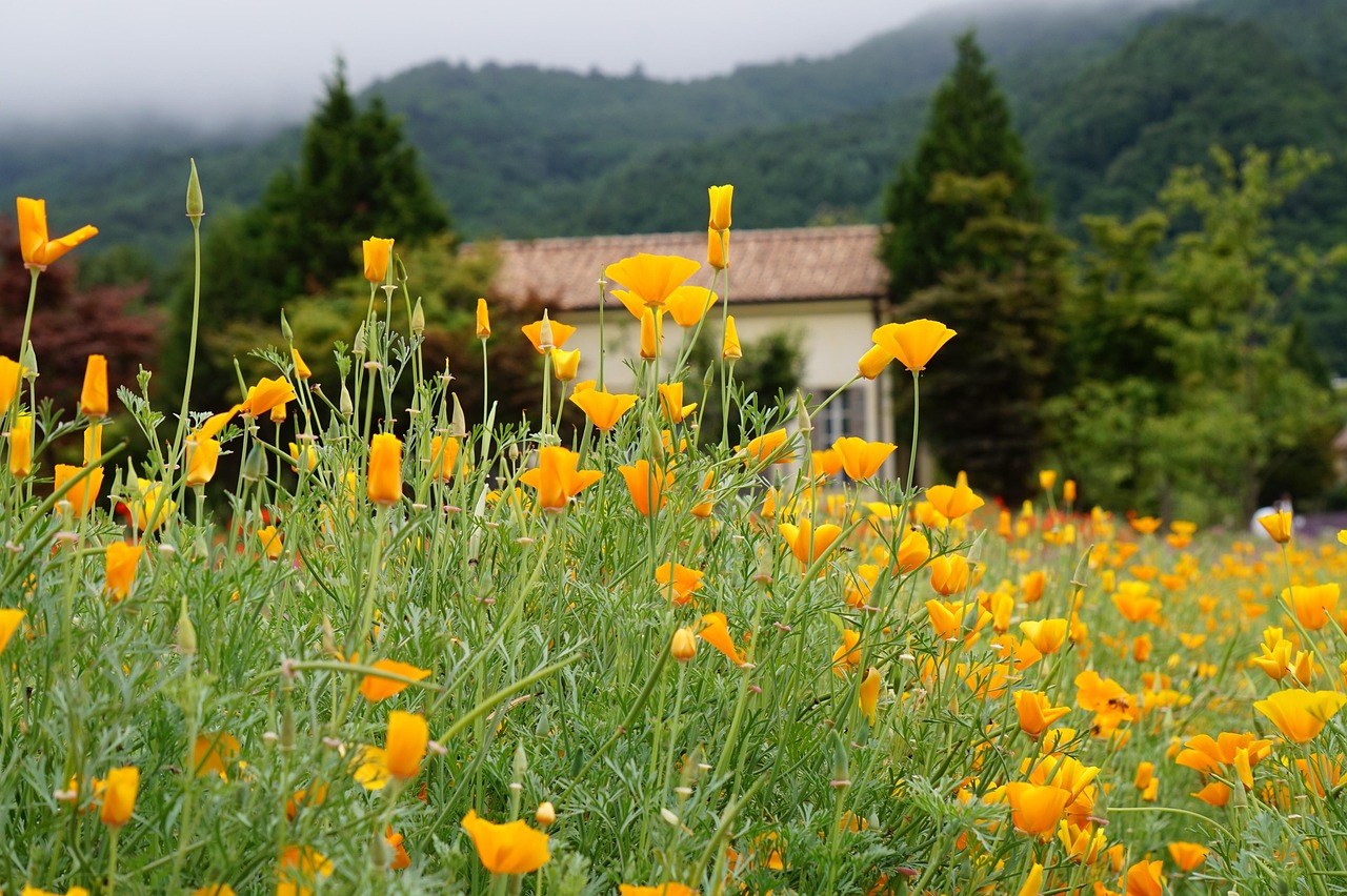 DDOS在线攻击|如何在黑客攻击期间保护你的数据