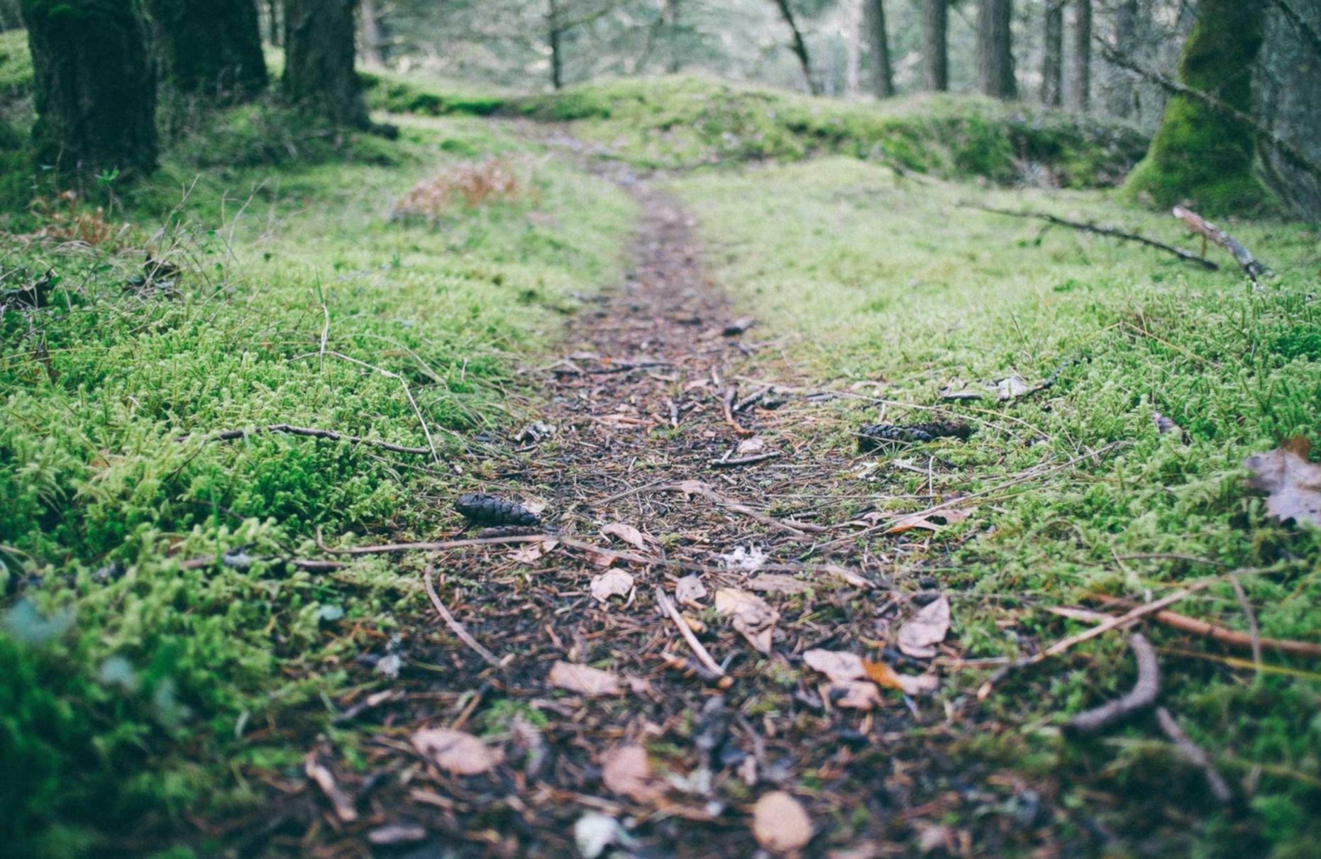 极光实名账号：充值平台免费代理