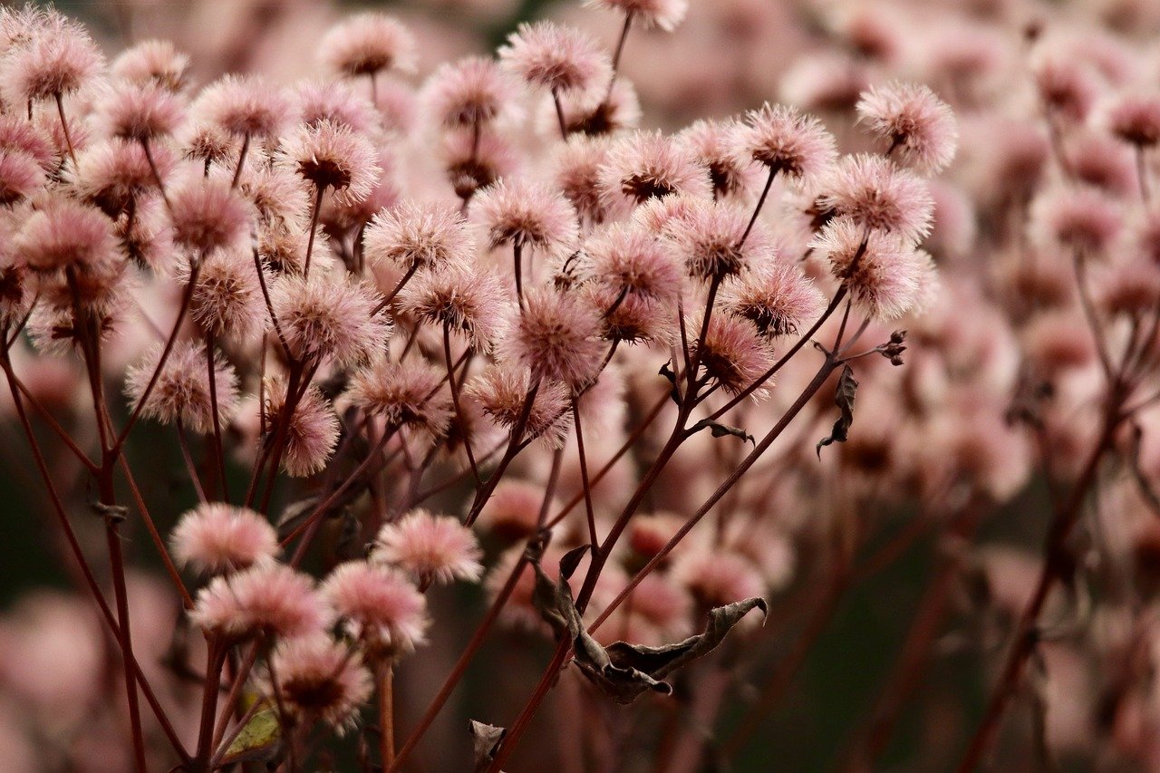 迪信通实名账号：游戏折扣平台代理加盟